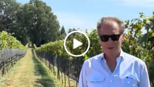 Alberto Antonini video thumbnail