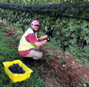Drew Buckley - Winegrower/Sales & Marketing
